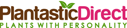PlantasticDirect - Plants With Personality
